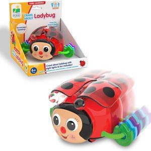 NEW: Early Learning Crawl about Ladybug Lights Up￼ With Fun Melodies